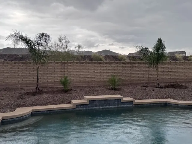 Young palms and desert plants set in a bed of mulch beside a pool, with mountains behind the wall