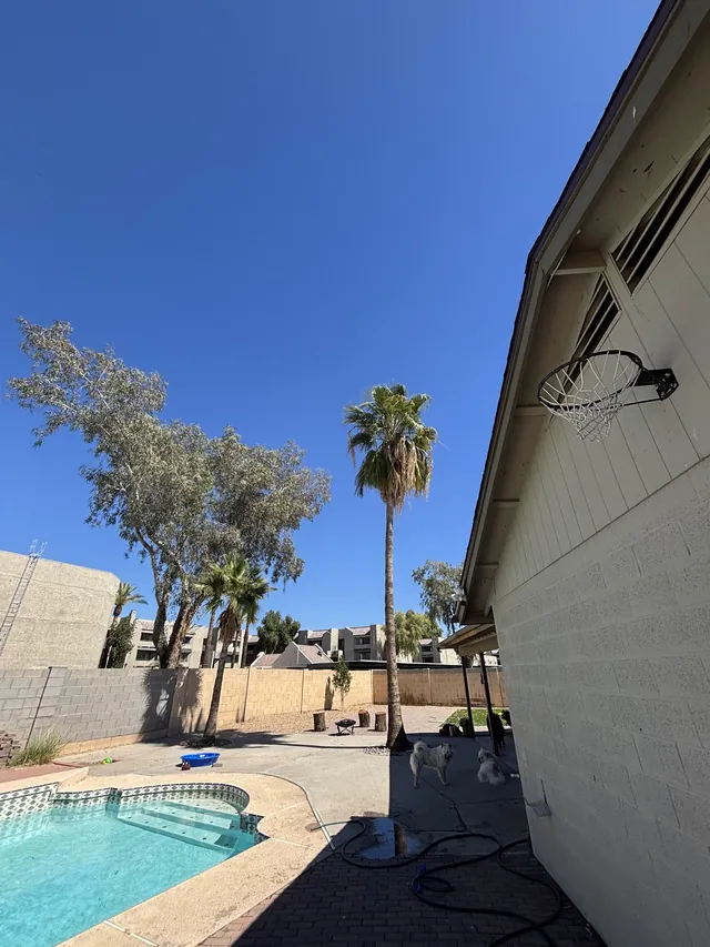 Gravel side yard beside a pool, with palms and a tree under a clear blue sky